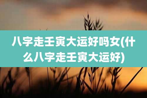 八字走壬寅大运好吗女(什么八字走壬寅大运好)