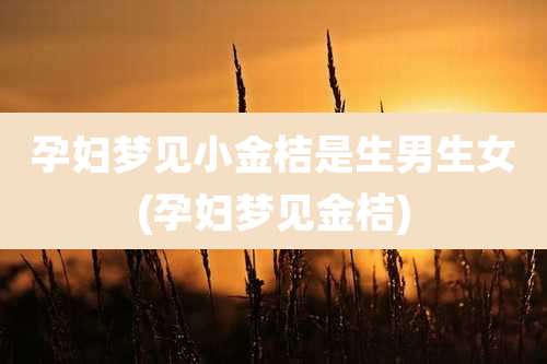 孕妇梦见小金桔是生男生女(孕妇梦见金桔)