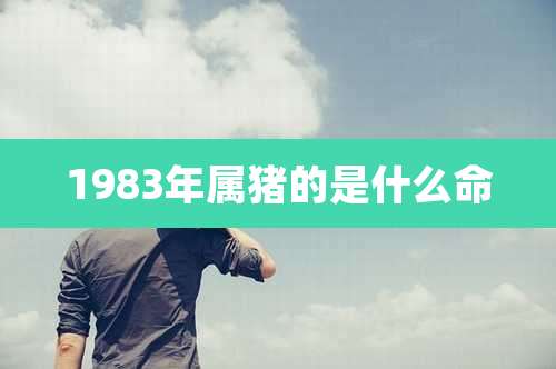 1983年属猪的是什么命
