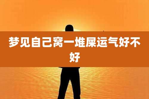 梦见自己窝一堆屎运气好不好