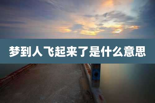 梦到人飞起来了是什么意思