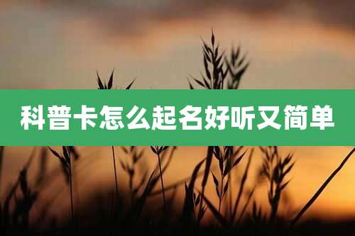 科普卡怎么起名好听又简单
