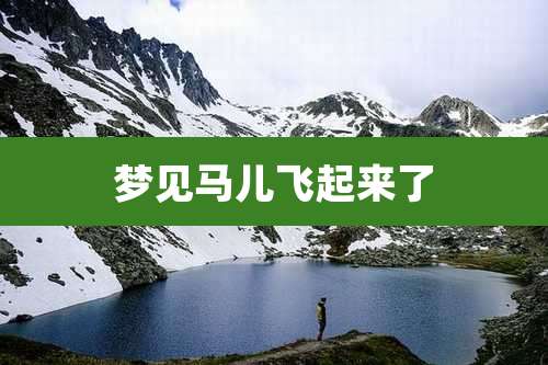 梦见马儿飞起来了