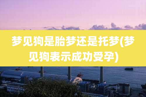 梦见狗是胎梦还是托梦(梦见狗表示成功受孕)