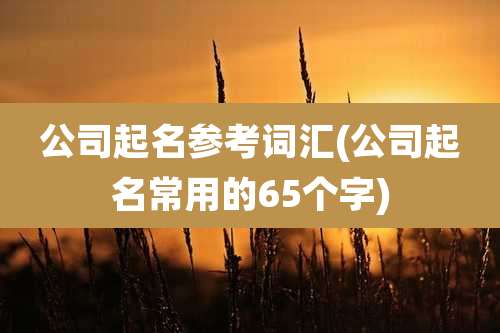 公司起名参考词汇(公司起名常用的65个字)