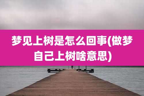 梦见上树是怎么回事(做梦自己上树啥意思)