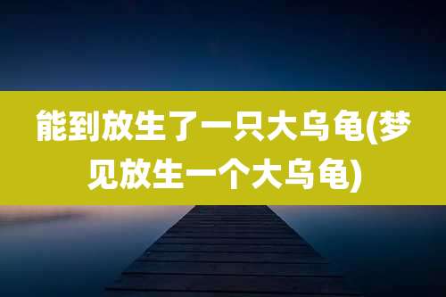 能到放生了一只大乌龟(梦见放生一个大乌龟)
