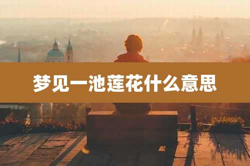 梦见一池莲花什么意思