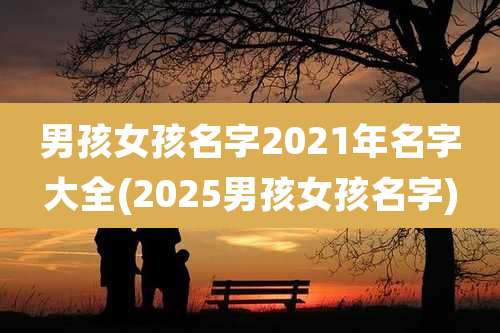 男孩女孩名字2021年名字大全(2025男孩女孩名字)