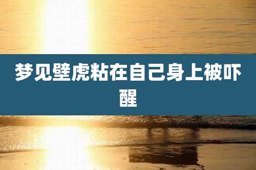 梦见壁虎粘在自己身上被吓醒