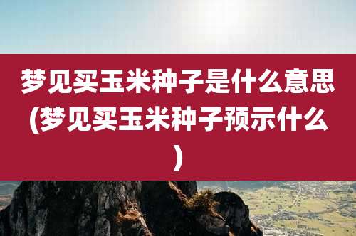 梦见买玉米种子是什么意思(梦见买玉米种子预示什么)