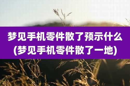 梦见手机零件散了预示什么(梦见手机零件散了一地)