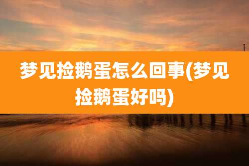 梦见捡鹅蛋怎么回事(梦见捡鹅蛋好吗)