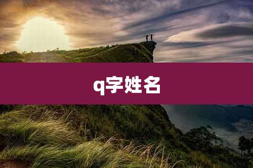 q字姓名