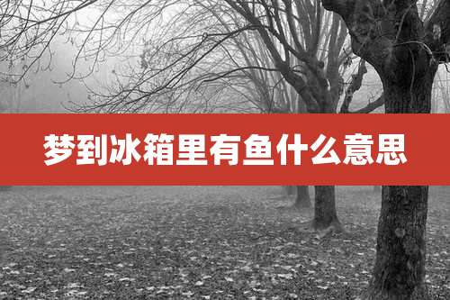 梦到冰箱里有鱼什么意思