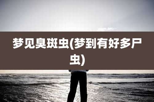 梦见臭斑虫(梦到有好多尸虫)