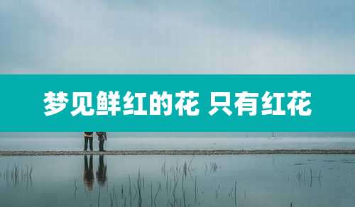 梦见鲜红的花 只有红花