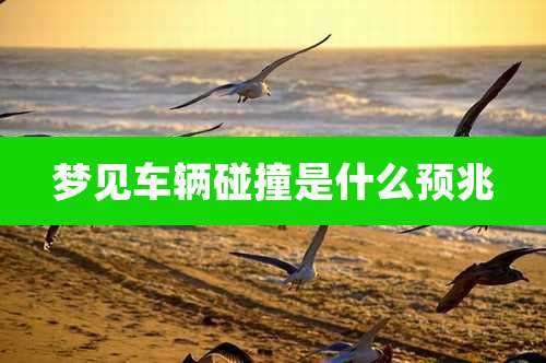 梦见车辆碰撞是什么预兆