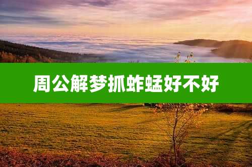 周公解梦抓蚱蜢好不好