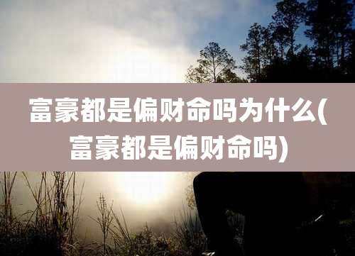 富豪都是偏财命吗为什么(富豪都是偏财命吗)