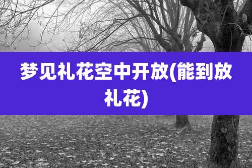 梦见礼花空中开放(能到放礼花)