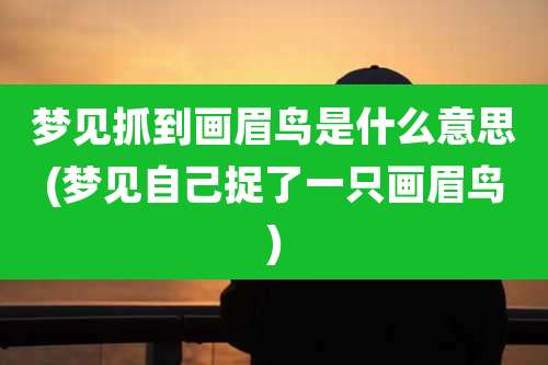 梦见抓到画眉鸟是什么意思(梦见自己捉了一只画眉鸟)