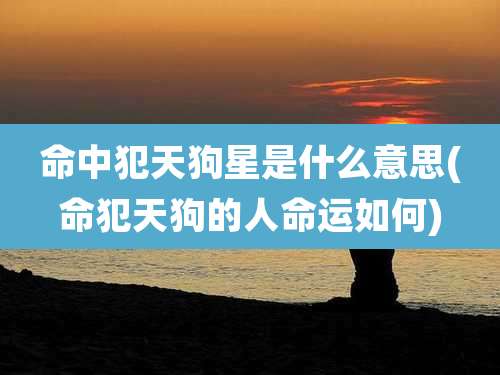 命中犯天狗星是什么意思(命犯天狗的人命运如何)