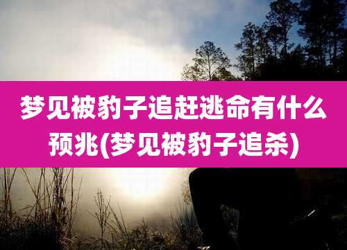 梦见被豹子追赶逃命有什么预兆(梦见被豹子追杀)