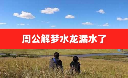 周公解梦水龙漏水了