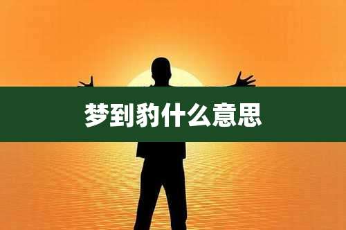 梦到豹什么意思