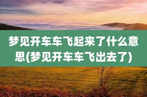 梦见开车车飞起来了什么意思(梦见开车车飞出去了)