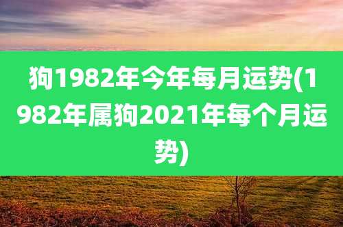 狗1982年今年每月运势(1982年属狗2021年每个月运势)