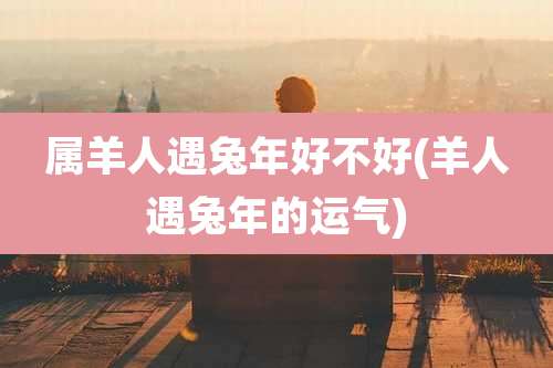 属羊人遇兔年好不好(羊人遇兔年的运气)