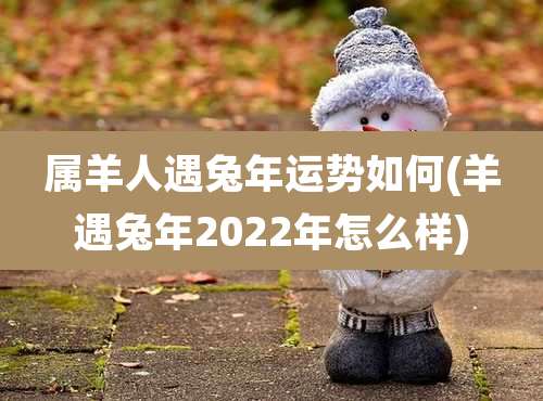 属羊人遇兔年运势如何(羊遇兔年2022年怎么样)