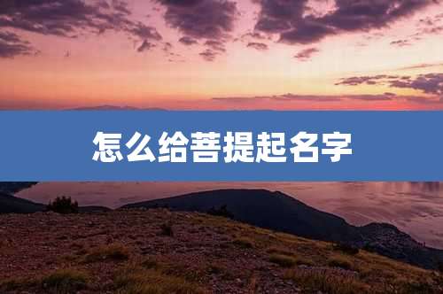 怎么给菩提起名字