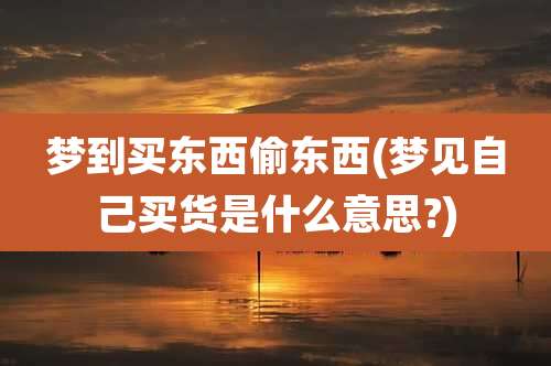 梦到买东西偷东西(梦见自己买货是什么意思?)