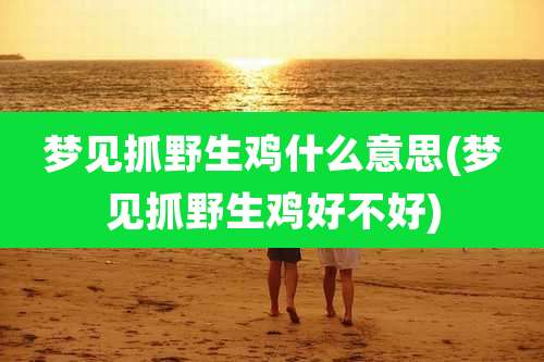 梦见抓野生鸡什么意思(梦见抓野生鸡好不好)