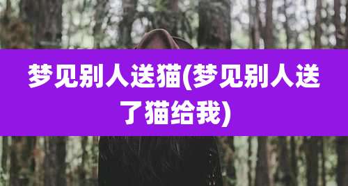 梦见别人送猫(梦见别人送了猫给我)
