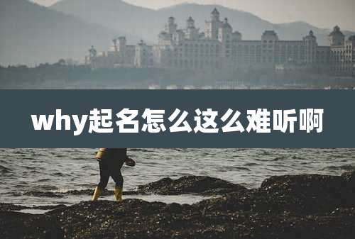 why起名怎么这么难听啊