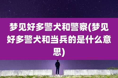 梦见好多警犬和警察(梦见好多警犬和当兵的是什么意思)
