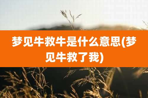 梦见牛救牛是什么意思(梦见牛救了我)