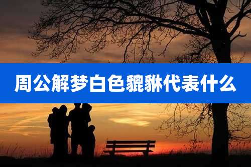 周公解梦白色貔貅代表什么