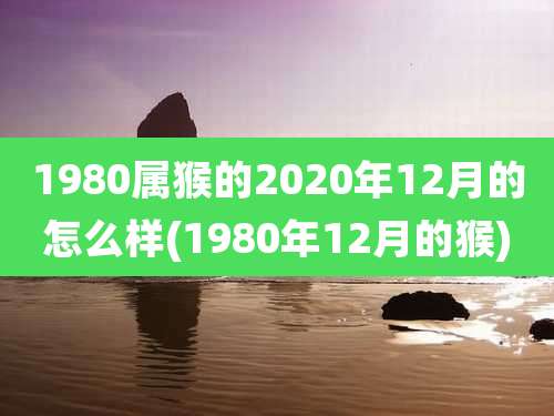 1980属猴的2020年12月的怎么样(1980年12月的猴)