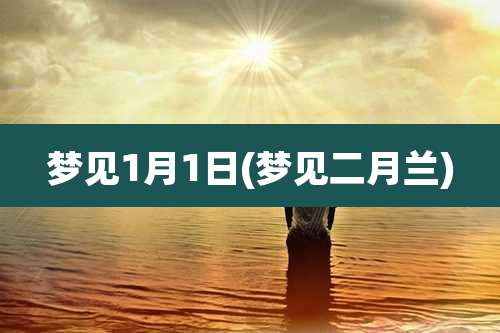 梦见1月1日(梦见二月兰)