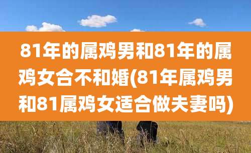 81年的属鸡男和81年的属鸡女合不和婚(81年属鸡男和81属鸡女适合做夫妻吗)