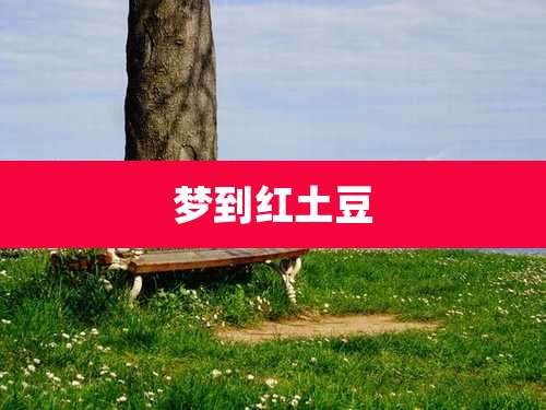 梦到红土豆
