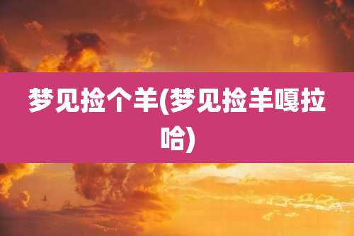 梦见捡个羊(梦见捡羊嘎拉哈)