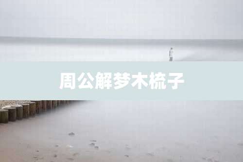 周公解梦木梳子