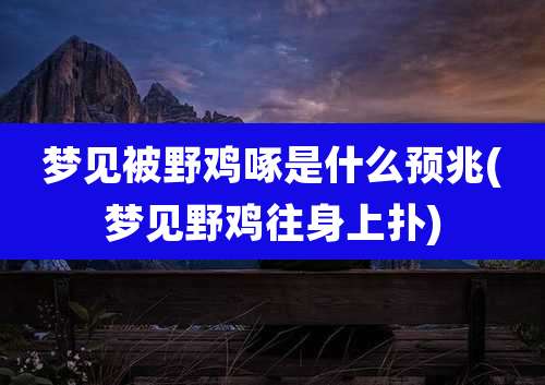 梦见被野鸡啄是什么预兆(梦见野鸡往身上扑)