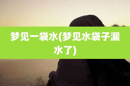 梦见一袋水(梦见水袋子漏水了)
